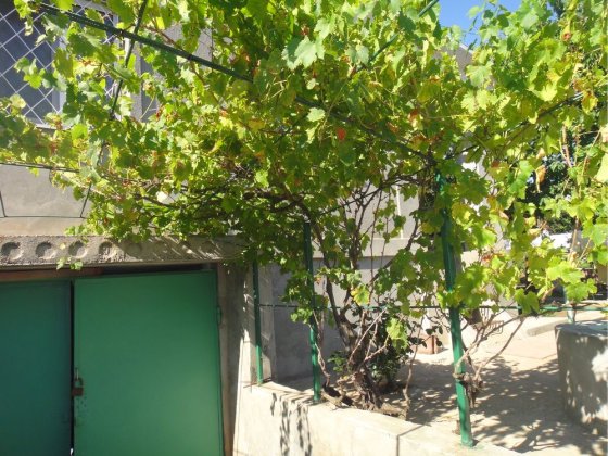 Продам дом 135км метров Новая Дофиновка