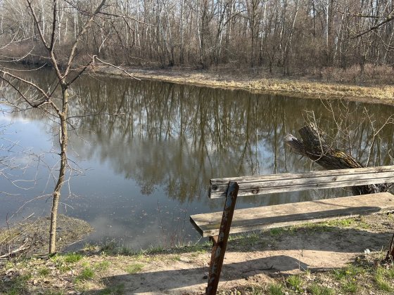 Земельна ділянка 19 соток біля річки з світлом. Кобеляки, р-н Зарічки Кобеляки