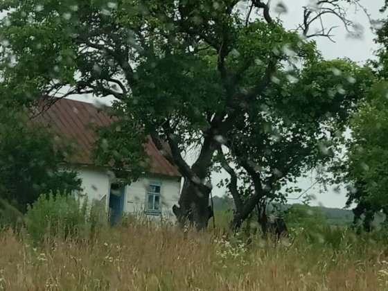 Будинок земельна ділянка 50сот Костополь