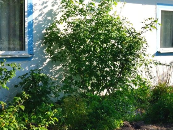 Продам будинок в с.Каноничі Вараш