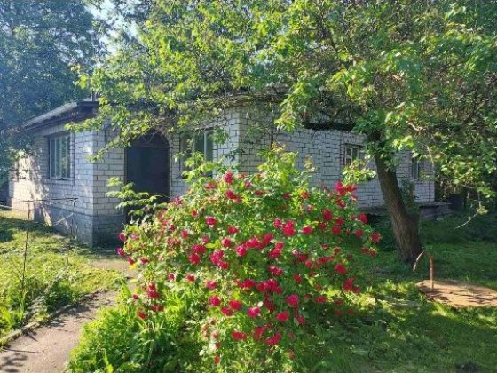 Будинок в гарному стані Кролевець