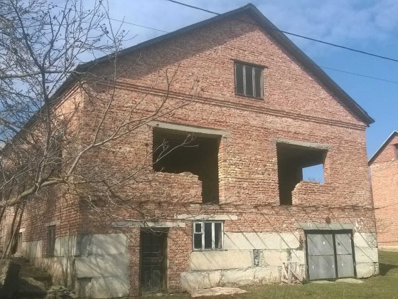 Продається будинок Петриків