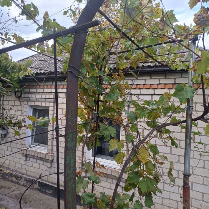 Продаж будинку, район Скала. - фото 1