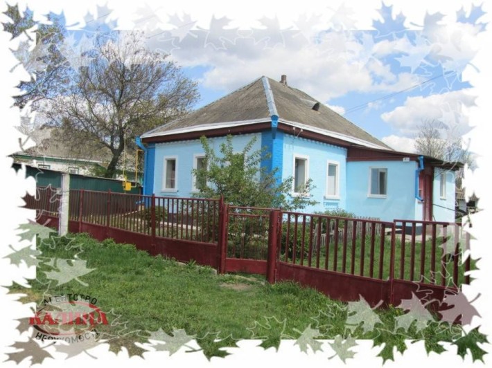 Будинок с.Зорівка - фото 1