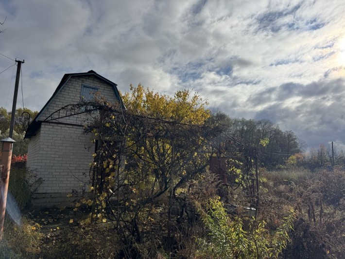 Продаж дачного будинку біля лісу - фото 1