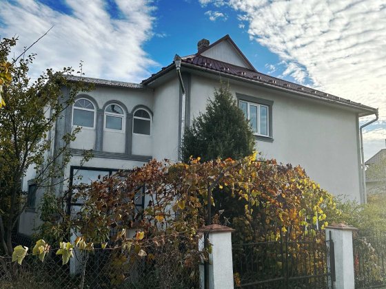 Продається від власника затишний сімейний будинок. Новоселица