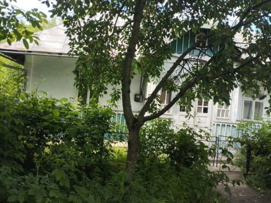 Продається господарство Вашківці