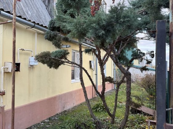 Продам дачу в Соловьиной роще Нижняя Хортица