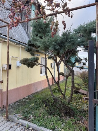 Продам дачу в Соловьиной роще - фото 1