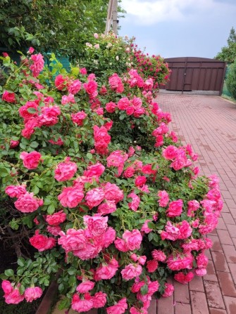 Продаж затишного будинку - фото 1