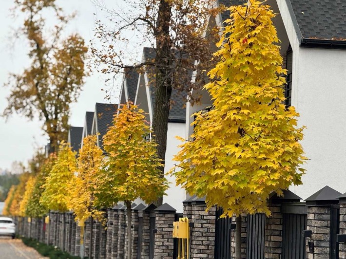 Стильний будинок|Преміальне КМ "Паркова Резиденція"|Буча|Найкраща ціна - фото 1