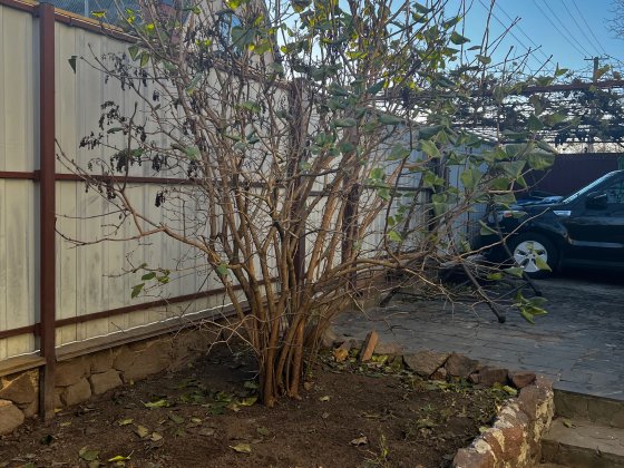 Продам дом. Броварський р-н/дачний кооператив Академсади Бровары