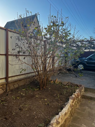 Продам дом. Броварський р-н/дачний кооператив Академсади - фото 1