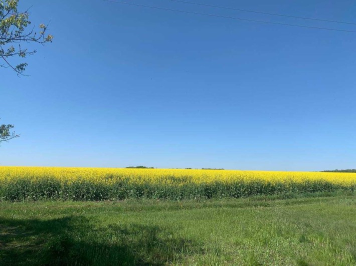 Дачка неподалік Білої Церкви .Ділянка приватизована. - фото 1
