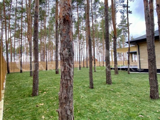 ТАКИЙ ОДИН- індивідуальнИЙ проект на 15 СОТКАХ серед СОСЕН Буча