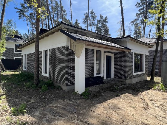 Будинок в затишній частині Бучі з наповненням - є розтермінування! Буча