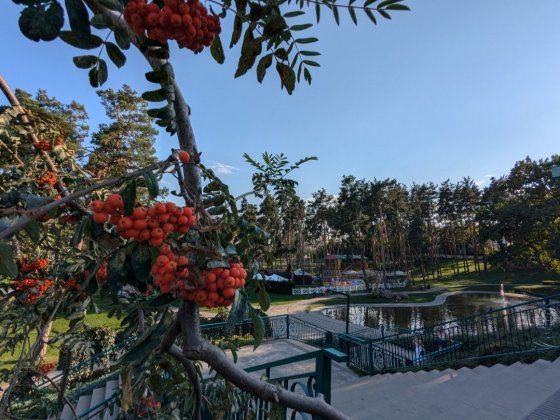 Продаж будинку - таунхаусу біля парку Незнайко Ирпень