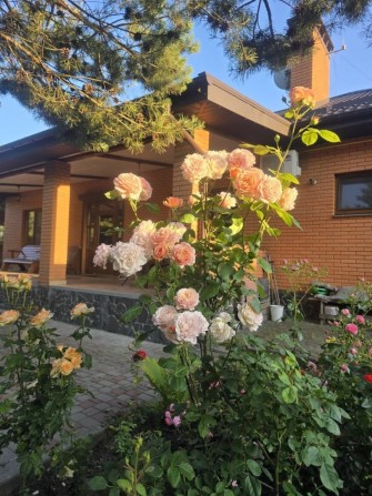 Твій спокій та затишок. Будинок біля лісу. - фото 1