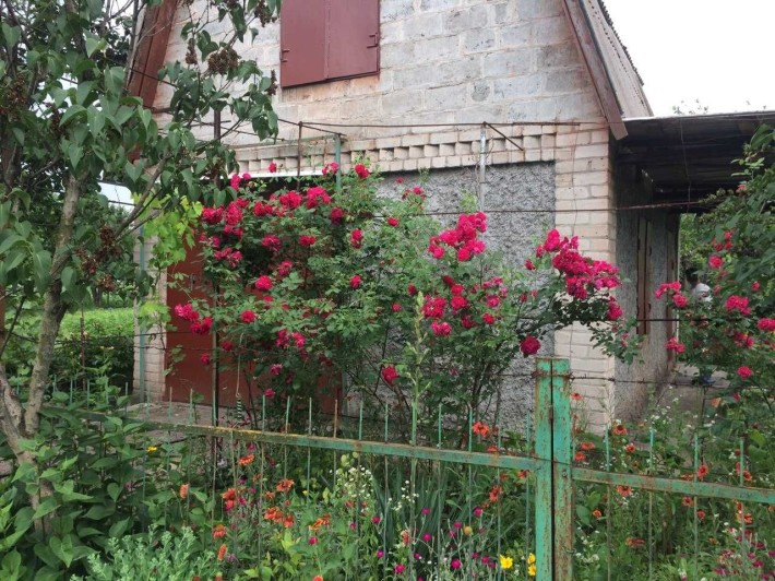 Продам дачу Садове товариство "Висотник" Довгинцівський район - фото 1