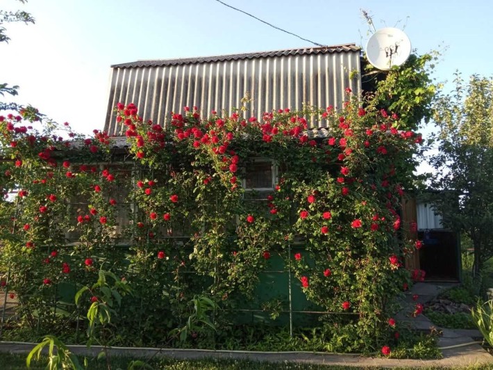 Дача в «Сергіївське-2», Кривий Ріг • 6 соток • Будинок 35 м² - фото 1