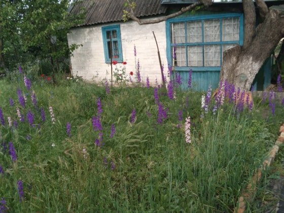 Продам дачу Карачуны Кривий Ріг