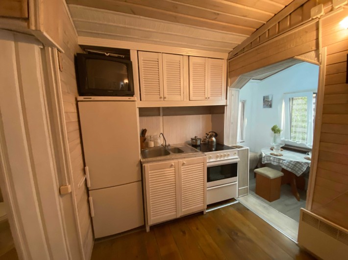 Продаж еко будинка з РЕМОНТОМ, Ірпінь, вул. Лисенка, 49.5м2, 2сотки - фото 1