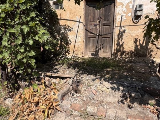 Часть дома и земли  ул. Нагорная Черногорка Кривий Ріг