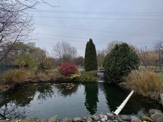 Продаж будинку в престижному районі Ужгороду. ГАЗ! Ужгород