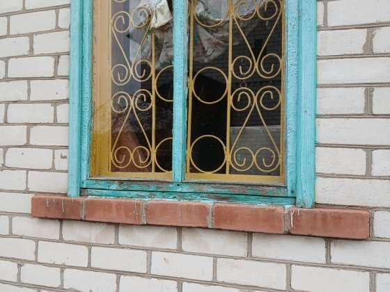 Продам дачу в с/т Мрія Чернігів