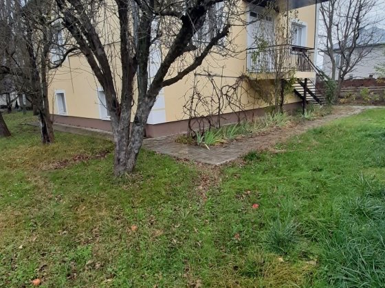 Продається будинок Мамаївці Черновцы