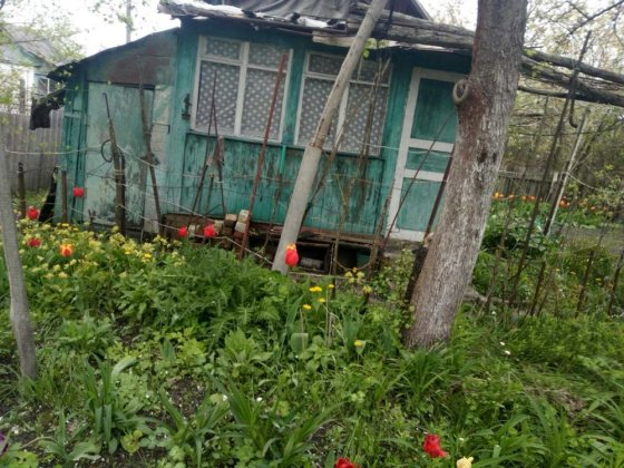 Продам дачу Пролетарский гай, дача селикатный завод, урочище святое Чернігів