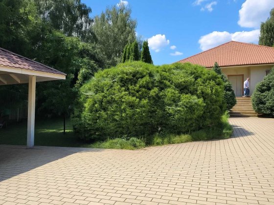 Будинок 170 м², ділянка 1 га на березі—готовий проєкт зони відпочинку Киев