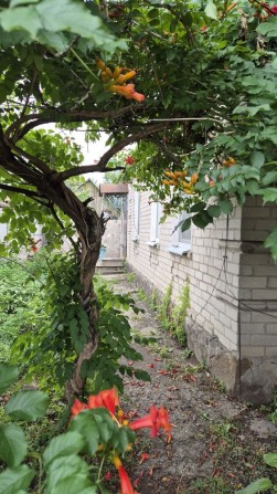 Продам Дом  Левый берег - Одинковка - 20 минут до Цента - фото 1