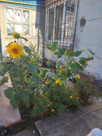 В продаже Дом 77кв.м Северный - фото 1