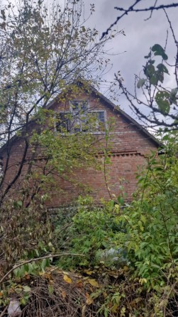 Продаж дачі Барське шосе. - фото 1