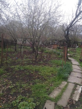 ТЕРМІНОВО! Продаж дачної ділянки,  Можливий торг - фото 1