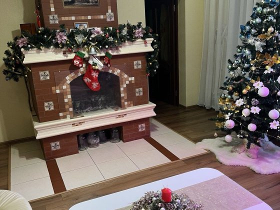 Продам затишний, комфортний будинок Запорожье