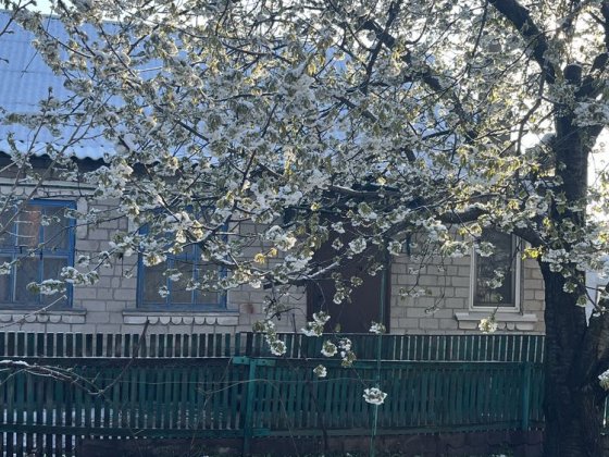 Срочно Продам дом, Запоріжжя Ліве, Фасад Запоріжжя