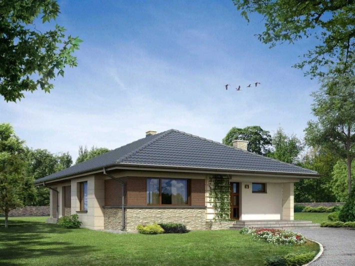 Одноповерховий будинок 138 кв.м з виходом на воду 18 соток, Осокорки - фото 1