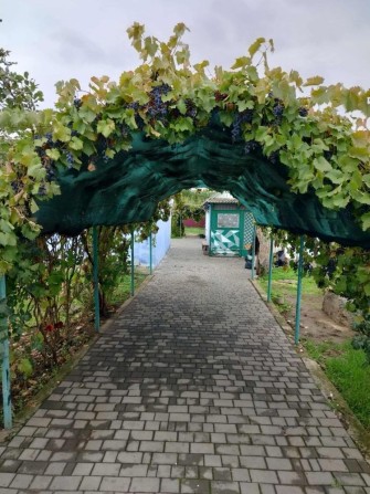 Продається будинок - фото 1