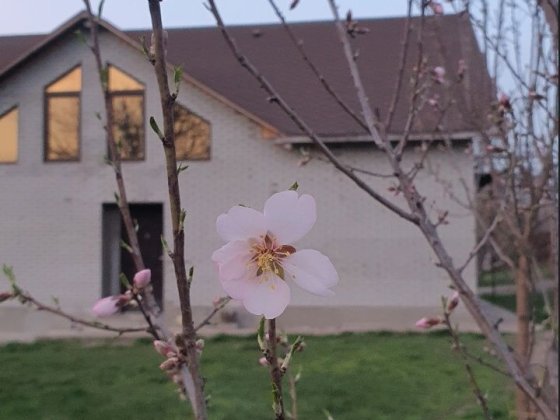 Продам будинок с.Бабурка Запоріжжя