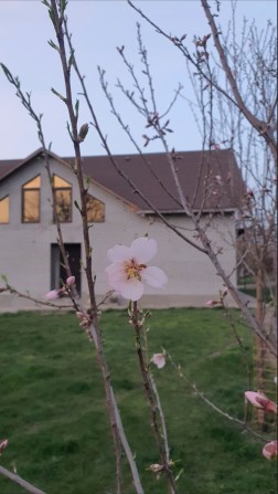 Продам будинок с.Бабурка - фото 1