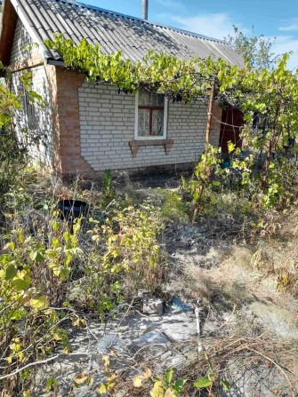 Продам дачу кооператив "Аграрник" - фото 1