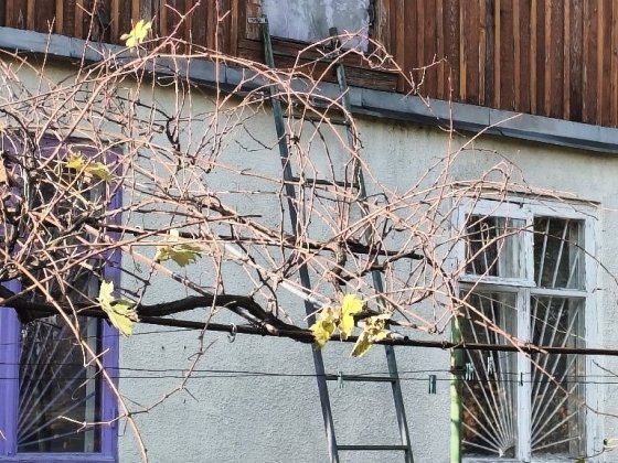 Продам  дом Слободка/ свой двор без заезда Одесса