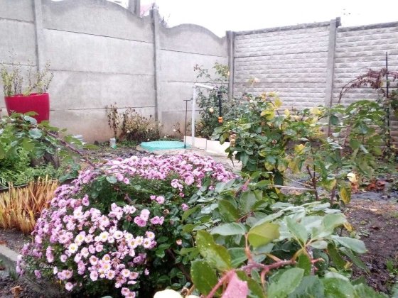 Продам 1\2 дома Залютино ул. Житная Харків