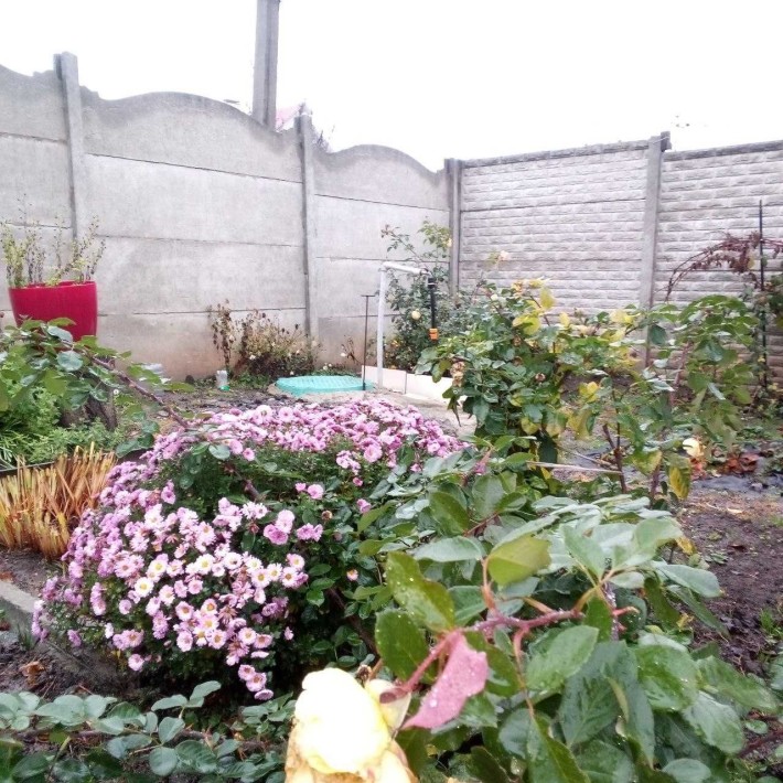 Продам 1\2 дома Залютино ул. Житная - фото 1