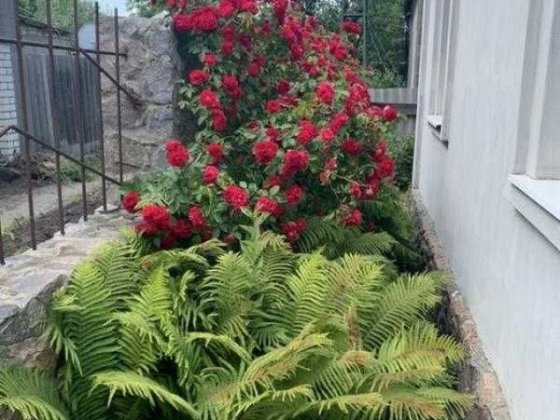 Продам будинок в центрі Баварії у гарному житловому стані Харьков