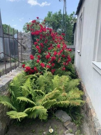 Продам будинок в центрі Баварії у гарному житловому стані - фото 1