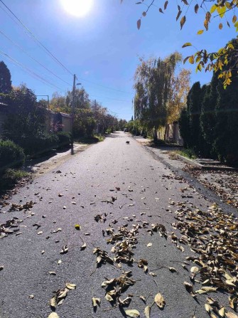 Продается участок с домом с ландшафтным дизайном на Таирова - фото 1