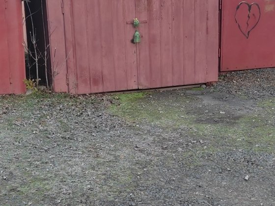 Гараж Ближні Гречани Олешин